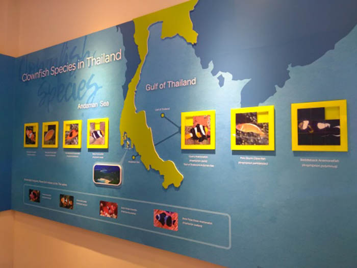 Clownfish information zone